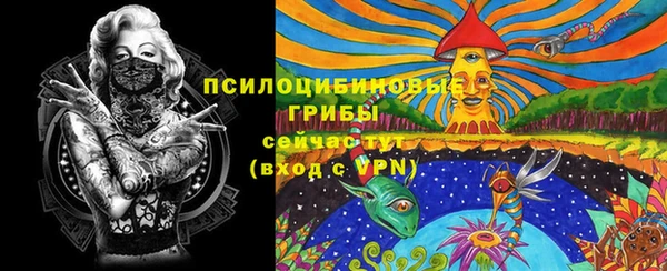мдпв Каменногорск