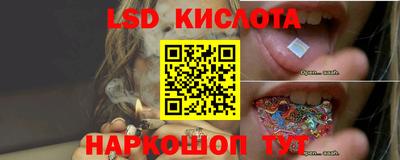 ГАЛЛЮЦИНОГЕННЫЕ ГРИБЫ Коммунар