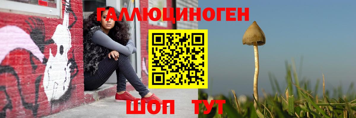 Псилоцибиновые грибы Cubensis Фурманов